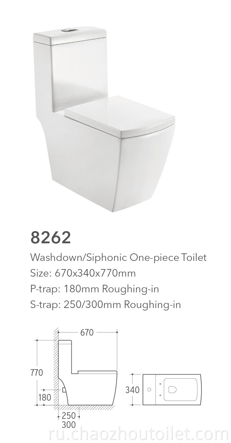 8262 One Piece Toilet